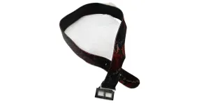 Charles Jourdan Exotic Leather Wide Belt with Silver Hardware